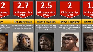 Human evolution and timeline [upl. by Rudyard392]