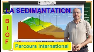 cycle sédimentaire la sédimentation [upl. by Crescantia446]