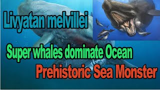 Prehistoric Sea Monster Livyatan melvillei  Super Whale  Rival of Megalodon [upl. by Church277]