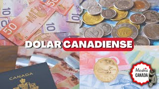 TODO lo que necesitas saber sobre la MONEDA CANADIENSE 🪙 [upl. by Nuahsal]