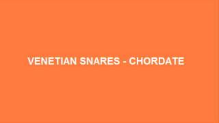 Venetian Snares  Chordate [upl. by Yseulte424]