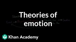 Theories of Emotion  Processing the Environment  MCAT  Khan Academy [upl. by Bluefarb]