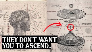 How to Know if Youre Ascending to The 5th Dimension  7 Signs You’re Shifting [upl. by Bobbi]