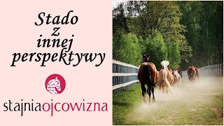 Konie stajni Ojcowizna [upl. by Joslyn]