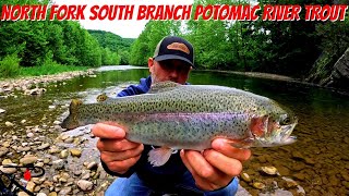 Trout Fishing West Virginias North Fork South Branch Potomac River [upl. by Araes345]