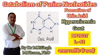 Catabolism of Purine Nucleotides  Hyperuricemia amp Gout  Biochemistry  BP203T  L51 [upl. by Krasnoff]