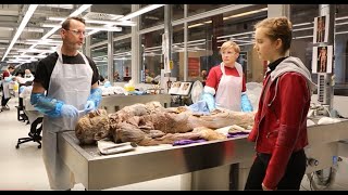 Plastinarium  KÖRPERWELTEN mit Livepräparation und Lernwerkstatt [upl. by Lesh]