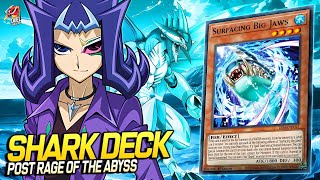 Deck Shark Post Rage of the Abyss EDOPRO  Replays 🎮  Decklist ✔️ [upl. by Nath570]