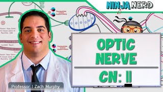 Visual Field Defects in Glaucoma  Dr Niha Aggarwal [upl. by Ivonne]