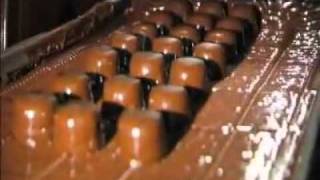 How Its Made Assorted Chocolates [upl. by Gerri469]