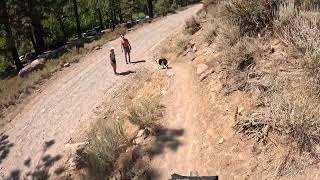 Mountain Bike Packing quotTahoe Twirlquot Lake Tahoe part 2 NTD to Thomas Creek [upl. by Lauro]