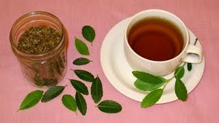 How to Make Tea from Scratch Harvest Leaves Roast and Brew Tea at Home [upl. by Razaile]