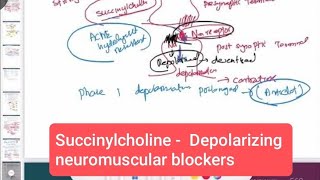 Succinylcholine  Depolarizing neuromuscular blockers neurology 170  First Aid USMLE Step 1 [upl. by Essyle]