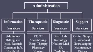 Hospital Organizational Structure [upl. by Annav601]