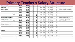 Primary Teacher Salary July 2024 এ কার কত হবে জেনে নিন WITH 14 DA [upl. by Jeanne]