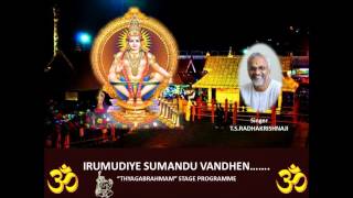 IRUMUDIYE SUMANTHU VANTHEN SWAMI AYYAPPAN TAMIL DEVOTIONAL TSRADHAKRISHNAJI SINGER [upl. by Brookner]