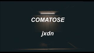 comatose  jaden hossler lyrics [upl. by Sucramaj789]