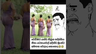 Sri Lankan Athal Meme Episode 406  HC Fun memes  ATHAL SINHALA athalmemesshorts [upl. by Erdnaid]