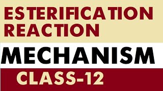 ESTERIFICATION REACTION  MECHANISM  Class 12  Carbonyl Compounds and Carboxylic Acids  PART3 3 [upl. by Nihcas]