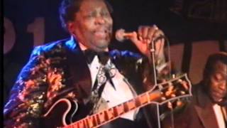 BB King Live in Hamburg 1991 [upl. by Groos]