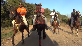 2024 Pretty 5 Mares Trail Ride in Ashdown Arkansas [upl. by Melbourne749]