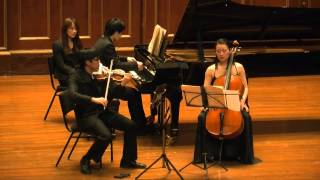 Tchaikovsky Piano Trio in A minor Op 50 [upl. by Rinee]