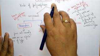 Parametric Polymorphism  OOPs in C  Lec34  Bhanu Priya [upl. by Senalda]