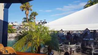 Ozona Blue RestaurantBar in Palm Harbor Florida [upl. by Robinetta]