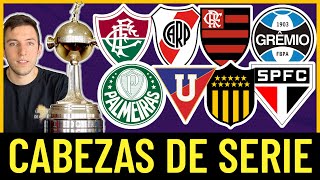 ⚽️🏆 LIBERTADORES y SUDAMERICANA 2024 Clasificados y Bolilleros ⚽️🏆 [upl. by Gerk972]