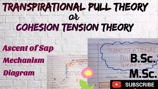 What is Transpirational pull theory Cohesion tension theory BSc MSc Plant Physiology Easy Explain [upl. by Delwin]