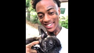 FUNNIEST Boonk Stealing Vines Compilation  Magnolia [upl. by Yblok]