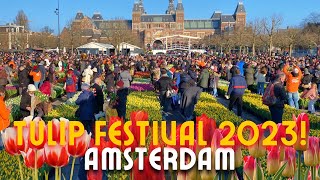 🌷HOW WE CELEBRATE THE NATIONAL TULIP DAY IN AMSTERDAMNETHERLANDS 🇳🇱  FREE TULIPS MUSEUMPLEIN [upl. by Nyrahtak954]