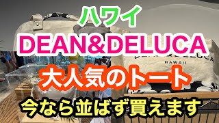 DEANampDELUCAのトートバッグが今なら並ばずに買えます。 [upl. by Ellenod]