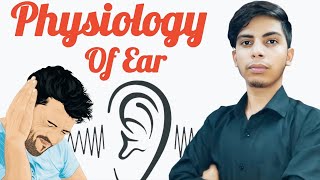 How Your Ear ACTUALLY Works Anatomy amp Function of the Ear [upl. by Bean671]