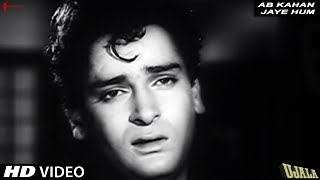 Ab Kahan Jaye Hum  Manna Dey  Ujala  Shammi Kapoor  Shankar Jaikishan [upl. by Ethe271]