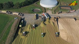 Großeinsatz Maishäckseln 2020 – 3500 ha Maisernte 20 Claas Traktoren  Häcksler farmer corn harvest [upl. by Eirahs180]