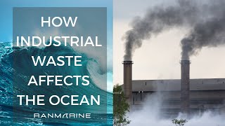 How Industrial Waste Affects the Ocean [upl. by Leeban]