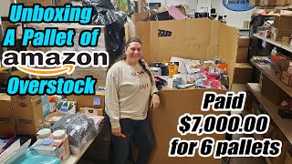 Unboxing a Pallet of Amazon Brand New Overstock  Paid 7000 For 6 Pallets  Will I make money [upl. by Nnylorac340]