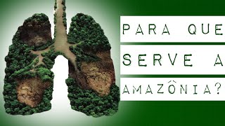 PARA QUE SERVE A AMAZÔNIA [upl. by Edobalo]