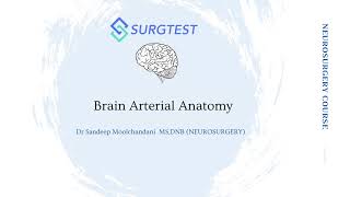 Brain arterial anatomy  Neurosurgery for INISS and FRCS videos  Dr Sandeep Moolchandani [upl. by Gayle]