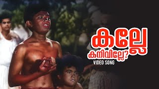 Kalle Kaniville Video Song  Raarichan Enna Pauran  P Leela  P Bhaskaran  K Raghavan [upl. by Nellek]