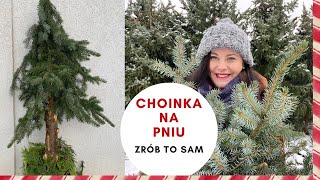 Choinka na pniu 🌲 zrób to sam  szybka świąteczna dekoracja DIY za darmo [upl. by Bounds148]