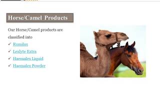 Animal Feed Premix Manufacturers [upl. by Nairot288]