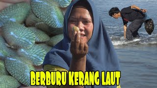 Efek Kemarau Panjang Panen Ribuan Kerang Dari Laut [upl. by Ahterahs693]