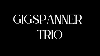 Gigspanner Trio  Live On Stage at Pavilions Teignmouth Trailer [upl. by Asirak897]