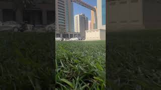 In dubai of the deira city views shortvideo dubaicity youtubeshorts youtubeblogger youtubevideo [upl. by Eliga369]