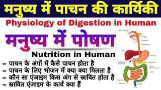 मनुष्य में पाचन की कार्यिकी  Physiology of Digestion  digestive system hindi  nutrition in human [upl. by Asial]