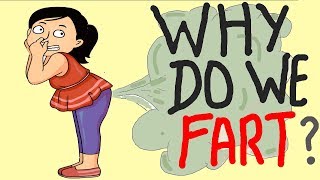 WHY SILENT FART SMELLS BAD  HINDI  SCIENCE FACTS [upl. by Nasaj]