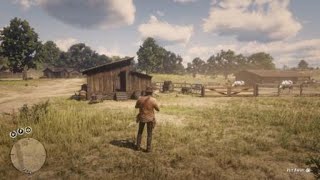 Red Dead Redemption 2  RDR2  JAVA CHICKEN  LOCATION  ZOOLOGIST 23 [upl. by Godfry]