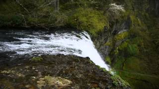 Silver Falls State Park Oregon [upl. by Eydnarb745]